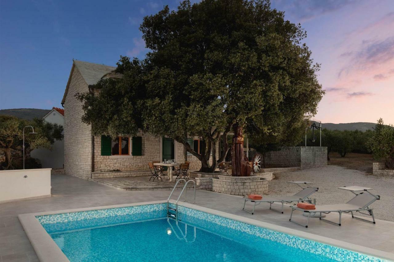 Villa Dubrava Tranquil Retreat Nestled In An Olive Grove For Serene Escapes Pucisca Exterior foto