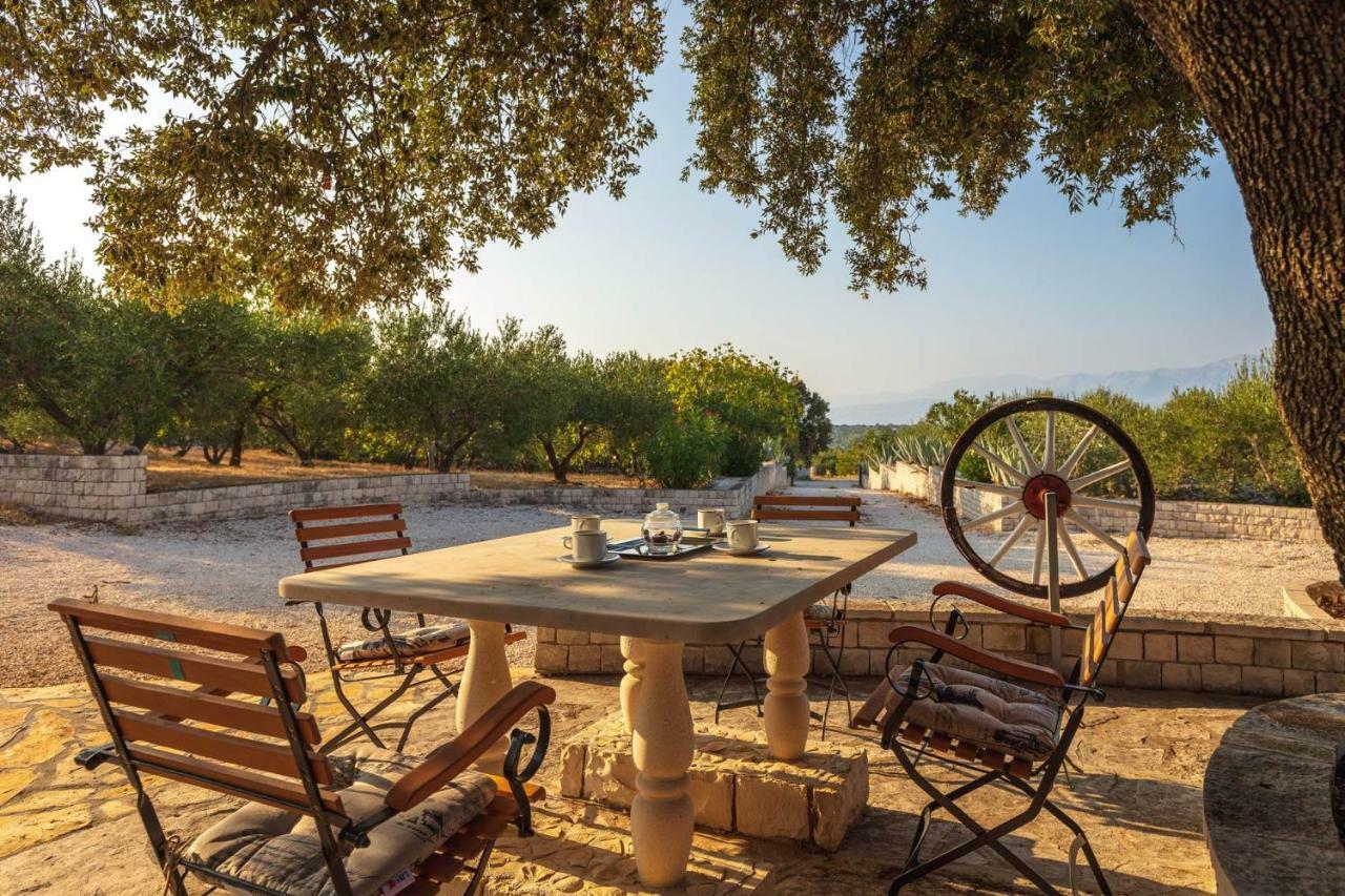Villa Dubrava Tranquil Retreat Nestled In An Olive Grove For Serene Escapes Pucisca Exterior foto